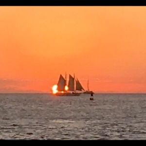 Meet your Posher, Peggy